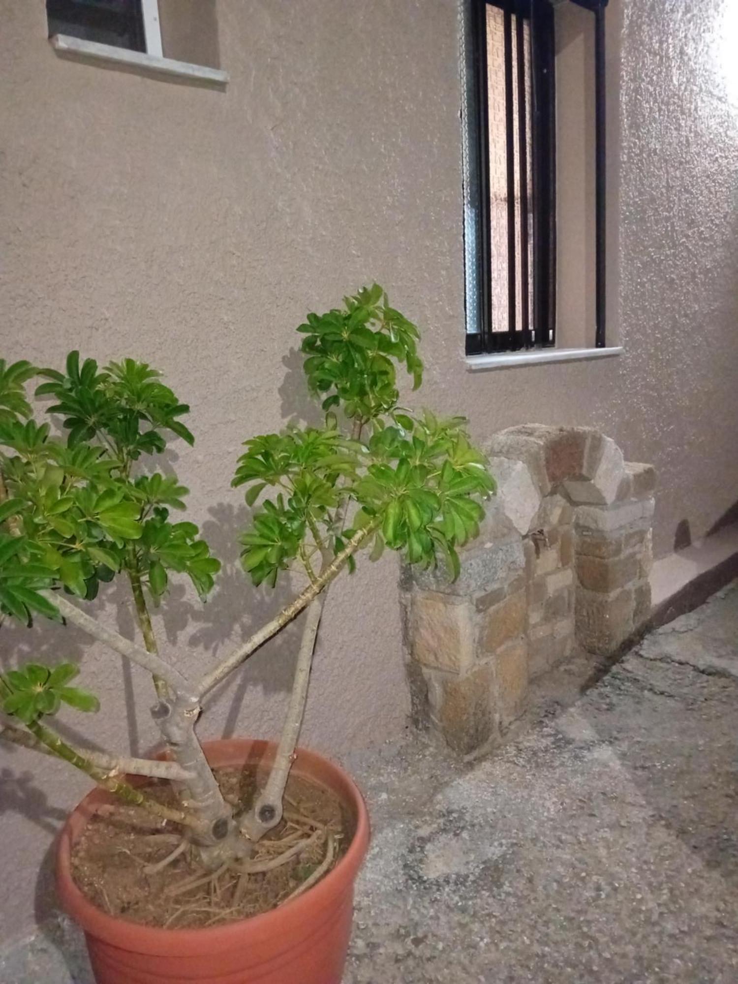 Casa Artemis Villa Platanos  Exterior photo